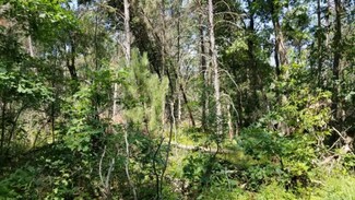 Par 2 Grove, Baldwin, MI 49304