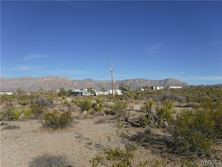 455 W Middle Point Dr, Meadview, AZ 86444