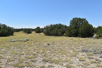 Lot 36 County Rd 93 9, Trinidad, CO 81082