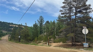007 Virginia Canyon Rd Unit N002895, Central City, CO 80427