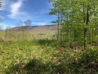 2 North Rd, Arlington, VT 05250