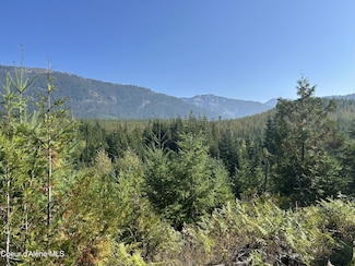 NKA Tract 5 Usfs 2294, Clark Fork, ID 83811