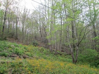 000 Southerland Branch Rd, Raven, VA 24639