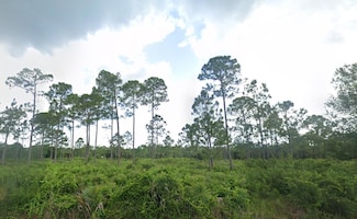 427 Hanscom St, Port Charlotte, FL 33953