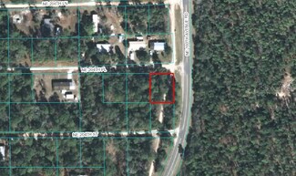 00 NE 204th Place, Fort Mc Coy, FL 32134