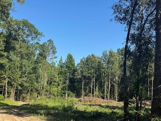 R37357 Hwy 69 South Tract 5, Zavalla, TX 75980