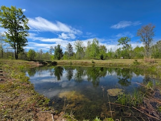 2147 E Beyer Rd, Free Soil, MI 49411