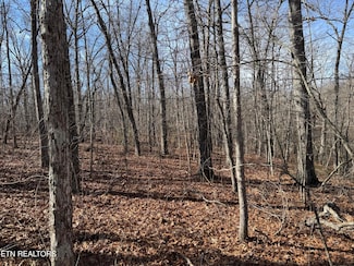 38 Crystal Point, Monterey, TN 38574