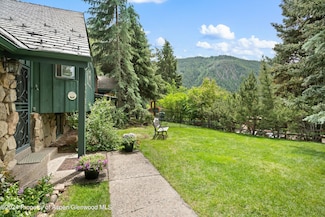 187 W Lupine Dr, Aspen, CO 81611