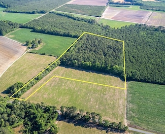 Tbd Cottingham Rd Tract G, Clio, SC 29525