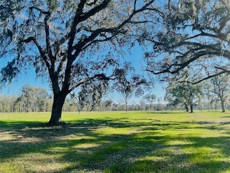 TBD NW 160th St, Reddick, FL 32686