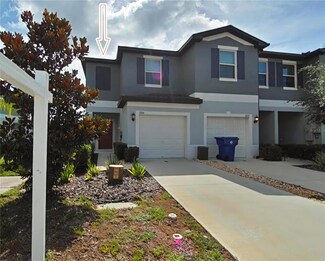 1606 Cassius St, Lutz, FL 33549