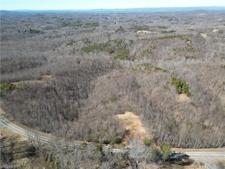 46.9 AC Seven Island Rd, Danbury, NC 27016