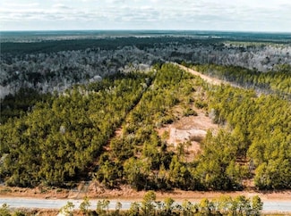 1150 Alston Cemetery Rd, Ragley, LA 70657