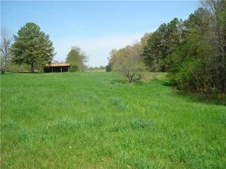 0 Finger Leapwood Rd, Bethel Springs, TN 38315