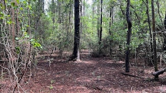 0 Griffin Ln Unit LotWP001 20009448, Lucedale, MS 39452