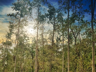 00 Oleander St, Vidor, TX 77662