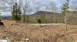 16 Heather Hill Ln, Landrum, SC 29356