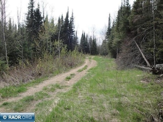 4866 Waisanen Rd, Embarrass, MN 55732