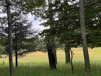 1240 Pinetree Trail Unit Lot 17, Harbor Springs, MI 49740