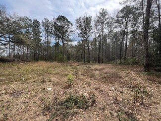 2199 Ardoch Rd SW, Townsend, GA 31331