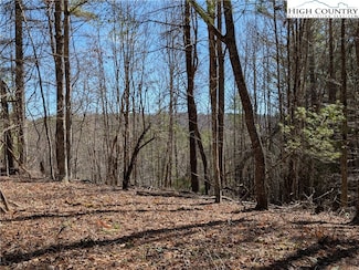 Lot 4 Running Cedar Ln, Crumpler, NC 28617