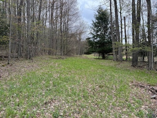 6909 U S 219, Lewis Run, PA 16738