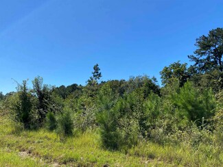 Lot 32 Harris Cir, Cochran, GA 31014