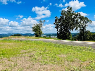 242 Ridgeline Ct, Morristown, TN 37814