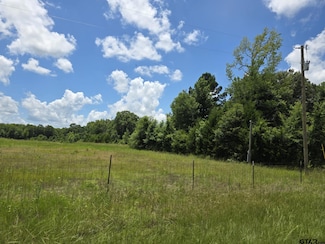 tbd County Road 4960, Pittsburg, TX 75686