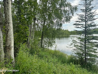 B005 Joyce Ln, Wasilla, AK 99654