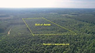 Tbd Nary Ln Unit LotWP001, Disputanta, VA 23842
