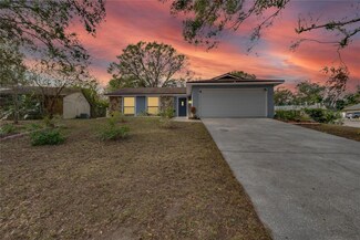 1404 Rustling Oaks Dr, Brandon, FL 33510
