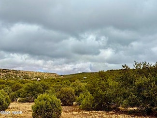 0 Cr 8256 Lot B 5 Acres, Concho, AZ 85924