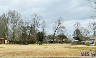 Lot 2 E Plains-Port Hudson Rd, Zachary, LA 70791