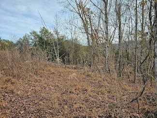 13.69ac Ward Ln, Washburn, TN 37888