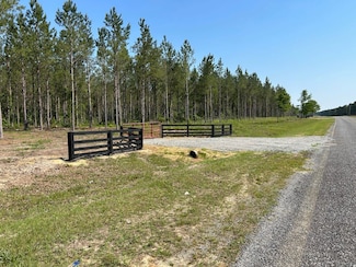 0 Dewey Thomas Rd Unit 20382550, Dexter, GA 31019