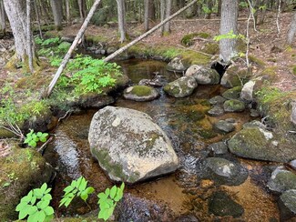 512 Deer Hill Rd, Tamworth, NH 03886