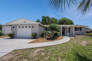 10910 Felsdale Ave, Port Richey, FL 34668
