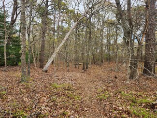 0 Commons Way Unit 22502090, Brewster, MA 02631
