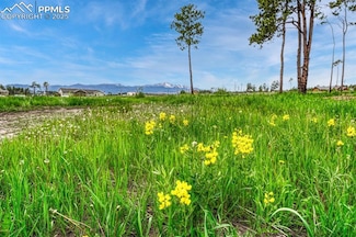 6425 Vessey Rd, Colorado Springs, CO 80908