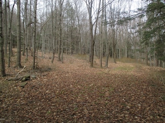 0 Happy Hill Ln Unit LOT 18 WB-86994, Eagles Mere, PA 17731