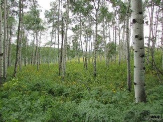 51000 Big Aspen Dr, Hayden, CO 81639