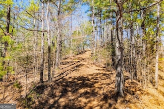 0 County Road 269 Unit 10471517, Wedowee, AL 36278