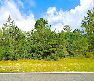 0 Fairview Rd Unit 385235, Alford, FL 32420