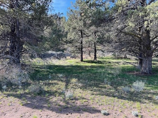 Unit 3 Lot 20 Silver Spur Rd Unit 3, Lake Shastina, CA 96094
