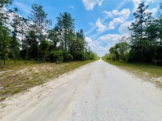 0000 NE 131st Terrace, Williston Highlands, FL 32696