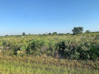 19142 NW 264th St, Okeechobee, FL 34972