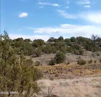 8594 Bobcat Dr, Show Low, AZ 85901