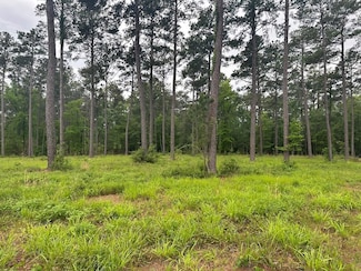 R22310 Pr 6028, Brookeland, TX 75931